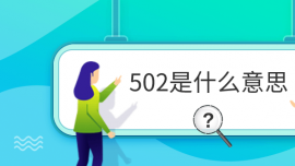 502ʲô˼