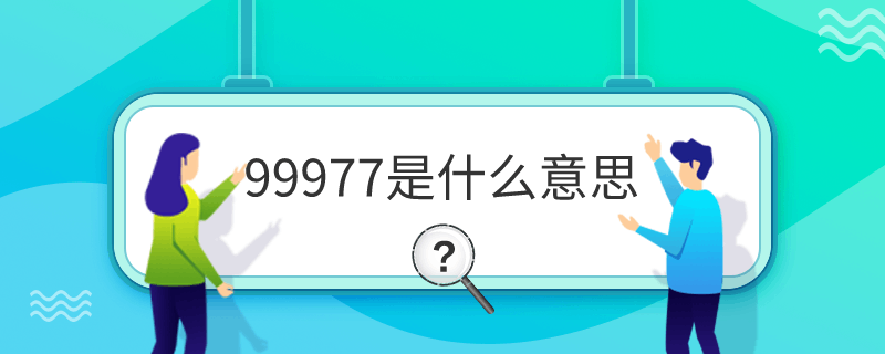 99977ʲô˼