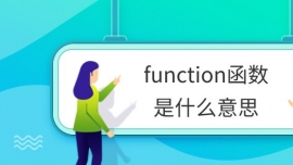 function(sh)ʲô˼