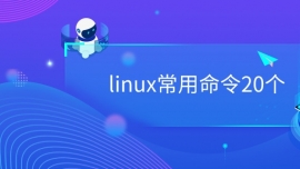 linux20