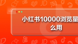 Сt10000g[ʲô